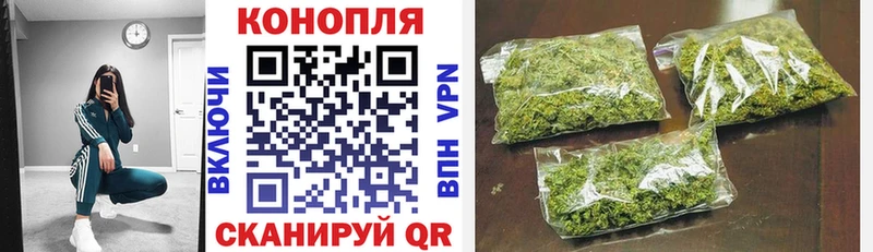 Продажа наркотиков Электрогорск СК  Канабис  Галлюциногенные грибы  Гашиш  Меф мяу мяу 
