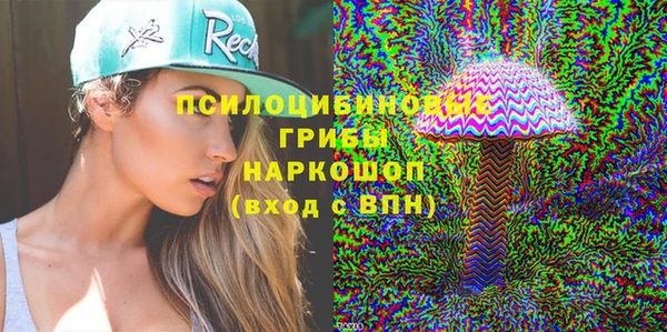крисы Армянск