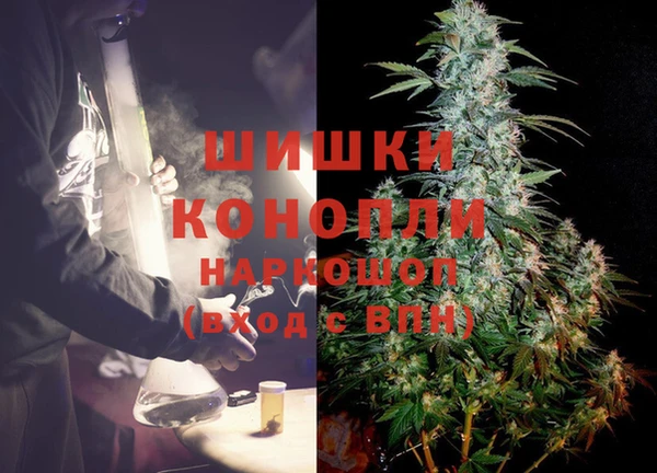 крисы Армянск