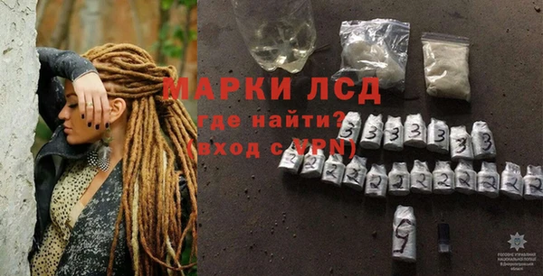 стафф Арсеньев