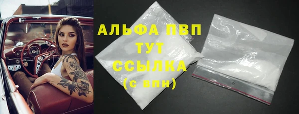 стафф Арсеньев