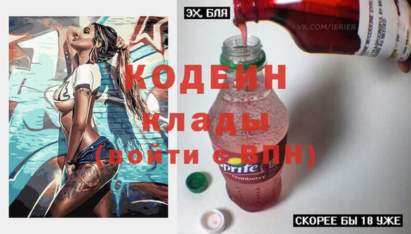 стафф Арсеньев