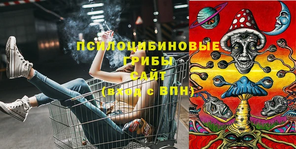 крисы Армянск