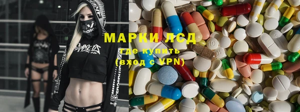 стафф Арсеньев